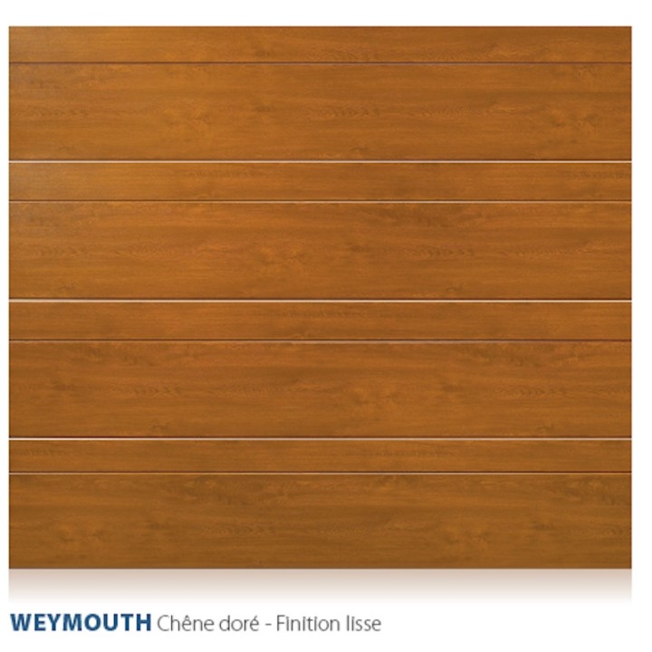 Porte sectionnelle standard ressorts latéraux motorisée