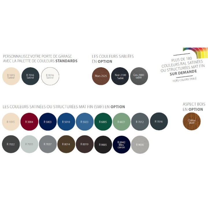 Porte sectionnelle standard ressorts latéraux motorisée
