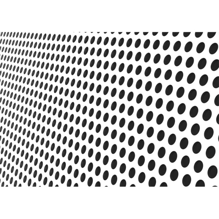 Coffret vide IP66 grand modèle avec rail DIN + grille perforée