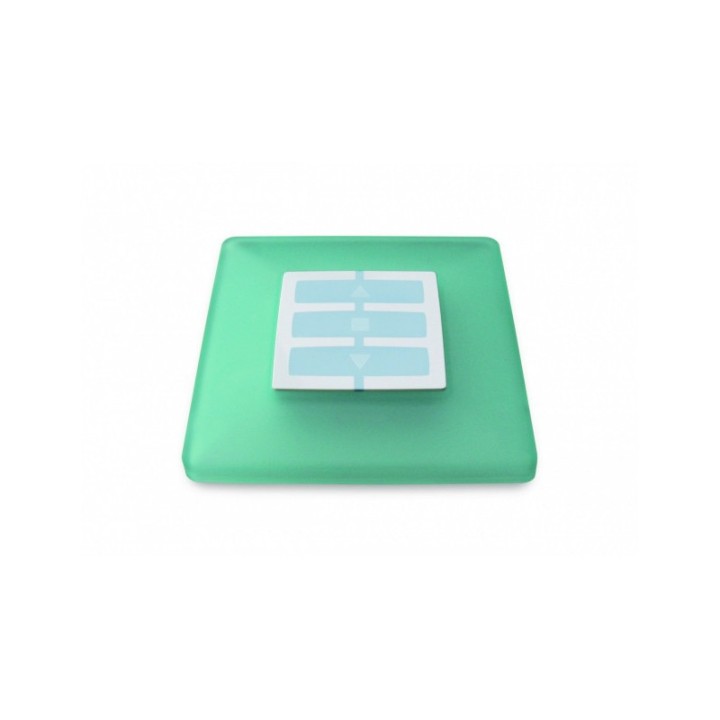 Plaque murale vert d'eau pour WM