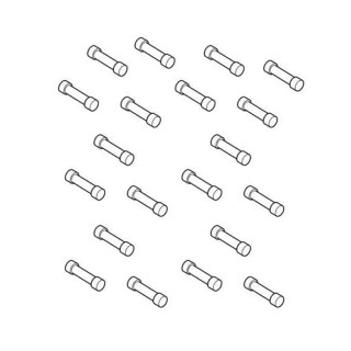 Sachet de 20 fusibles